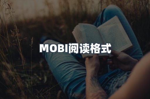 MOBI阅读格式